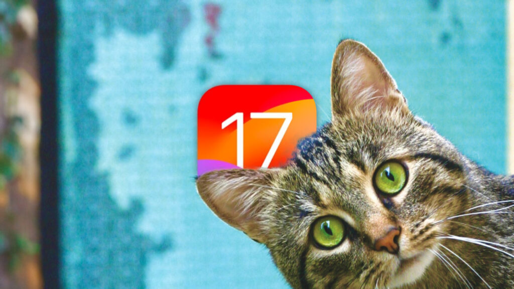 iOS 17 Pet