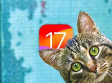 iOS 17 Pet