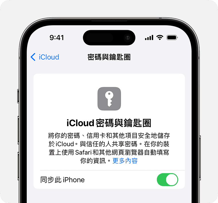 ios 17 iphone 14 pro settings apple id icloud passwords keychain