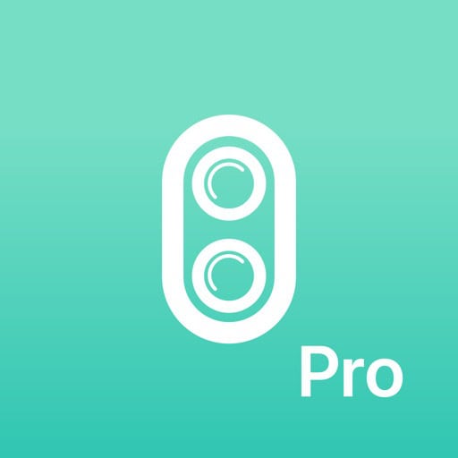 DUBL Pro 1