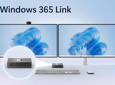 mslink365