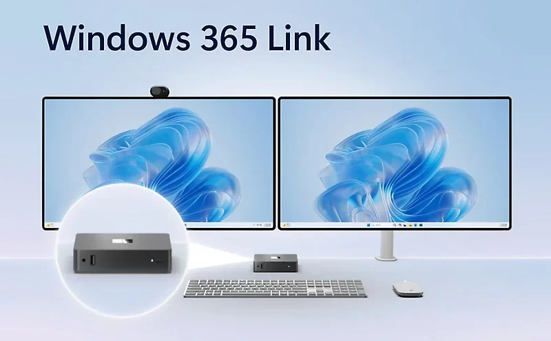 mslink365