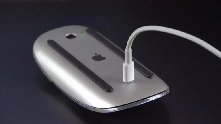 magicmouse