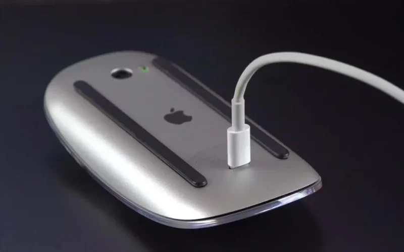 magicmouse