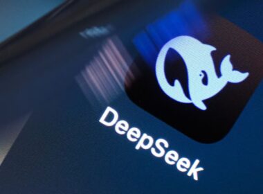 deepseek 1 1