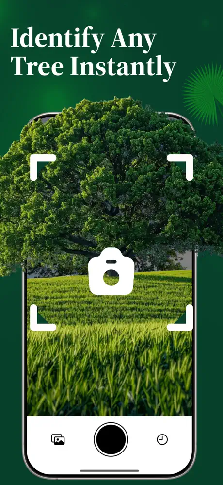 460x0w 2025 04 22T184041.633