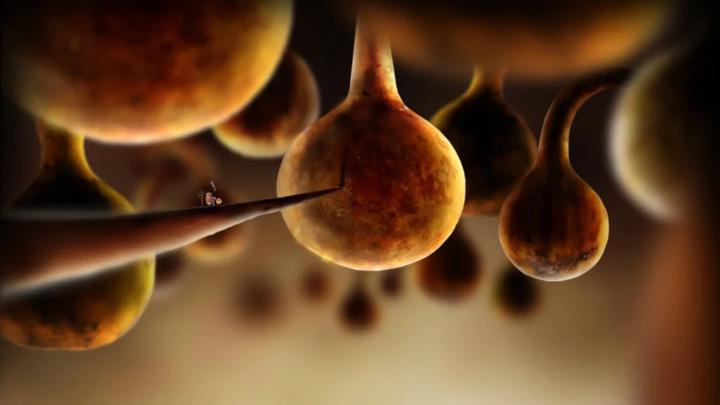 Botanicula2