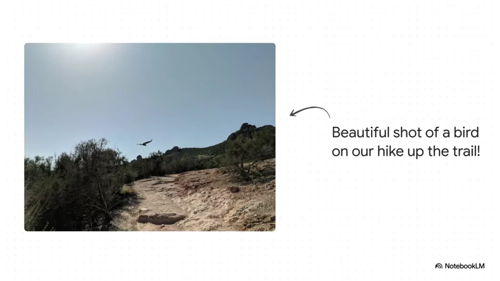 Video Overviews Preview from NotebookLM 0 15 screenshot