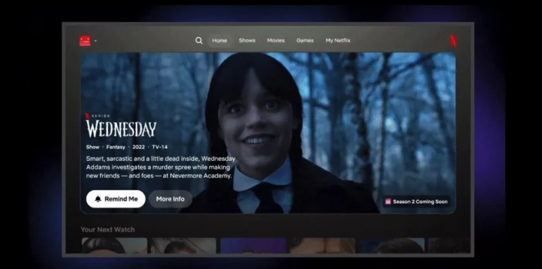 netflix ui