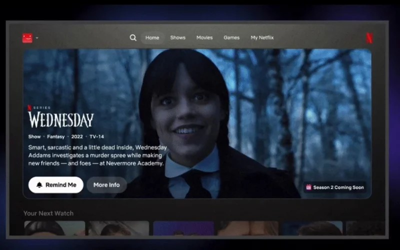 netflix ui