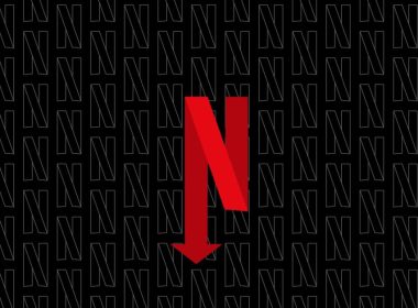 netflix subs down