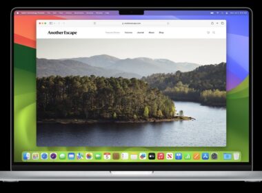 safari