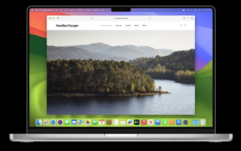 safari