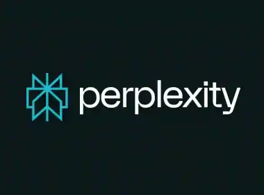 perplexity 1 1