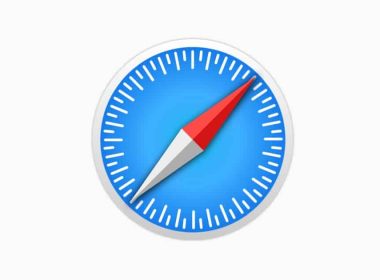 safari