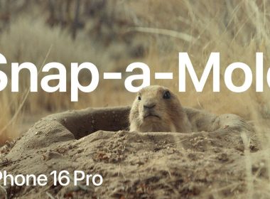 snap a mole ad