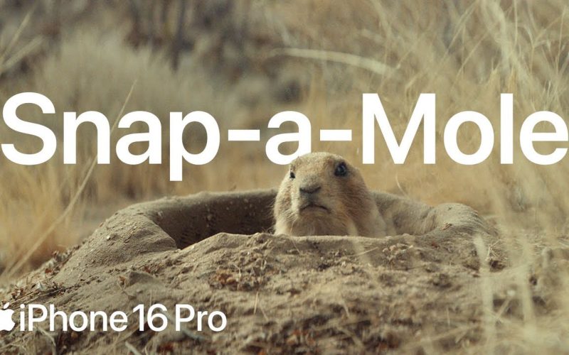 snap a mole ad