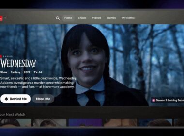 netflix new interface 1