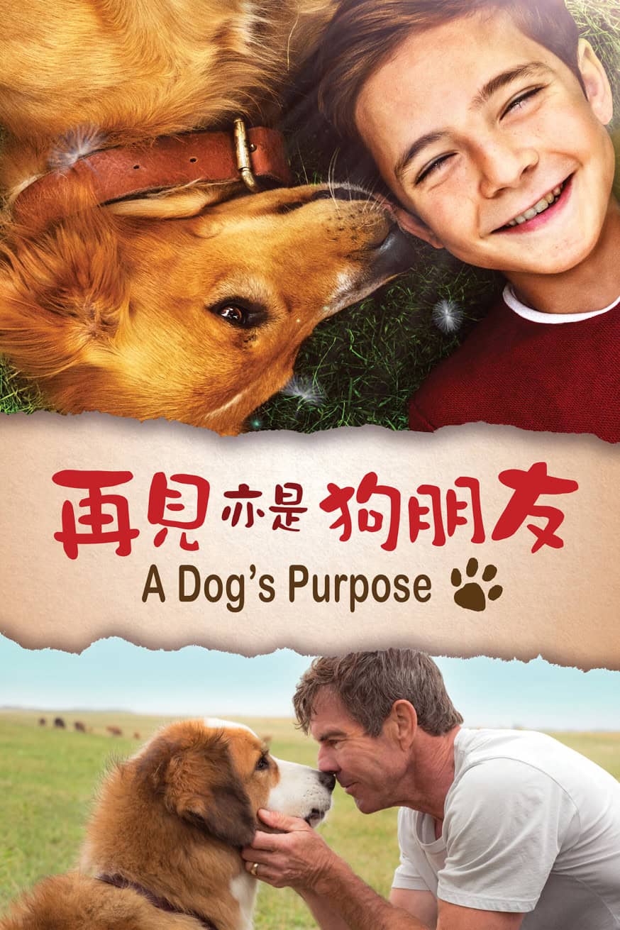 再見亦是狗朋友 (A Dog