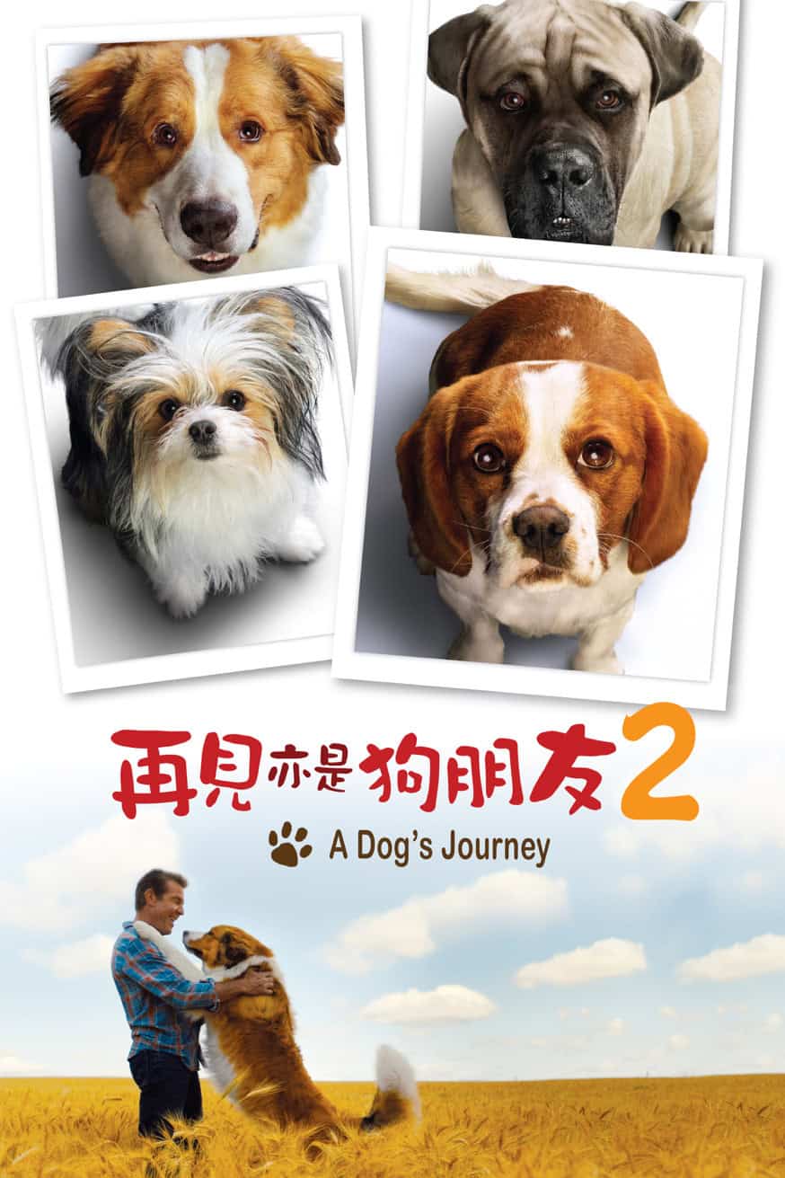 再見亦是狗朋友2 電影封面