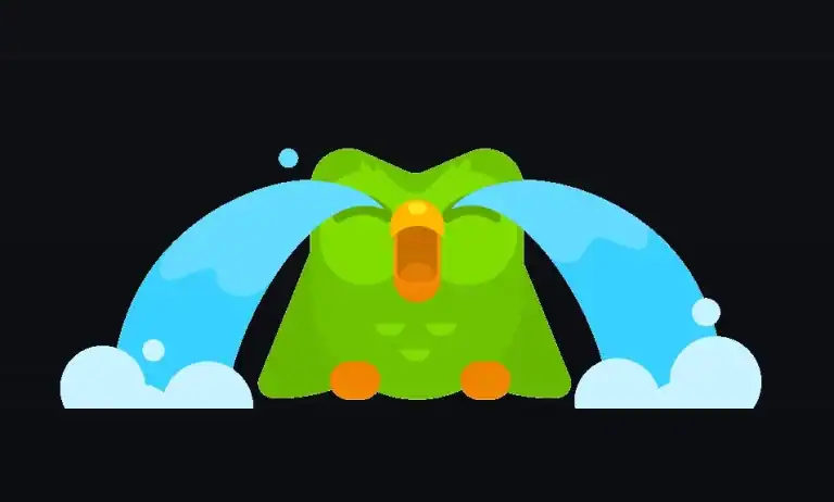 Duolingo cry