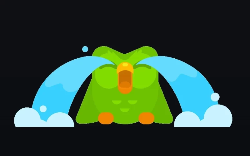 Duolingo cry