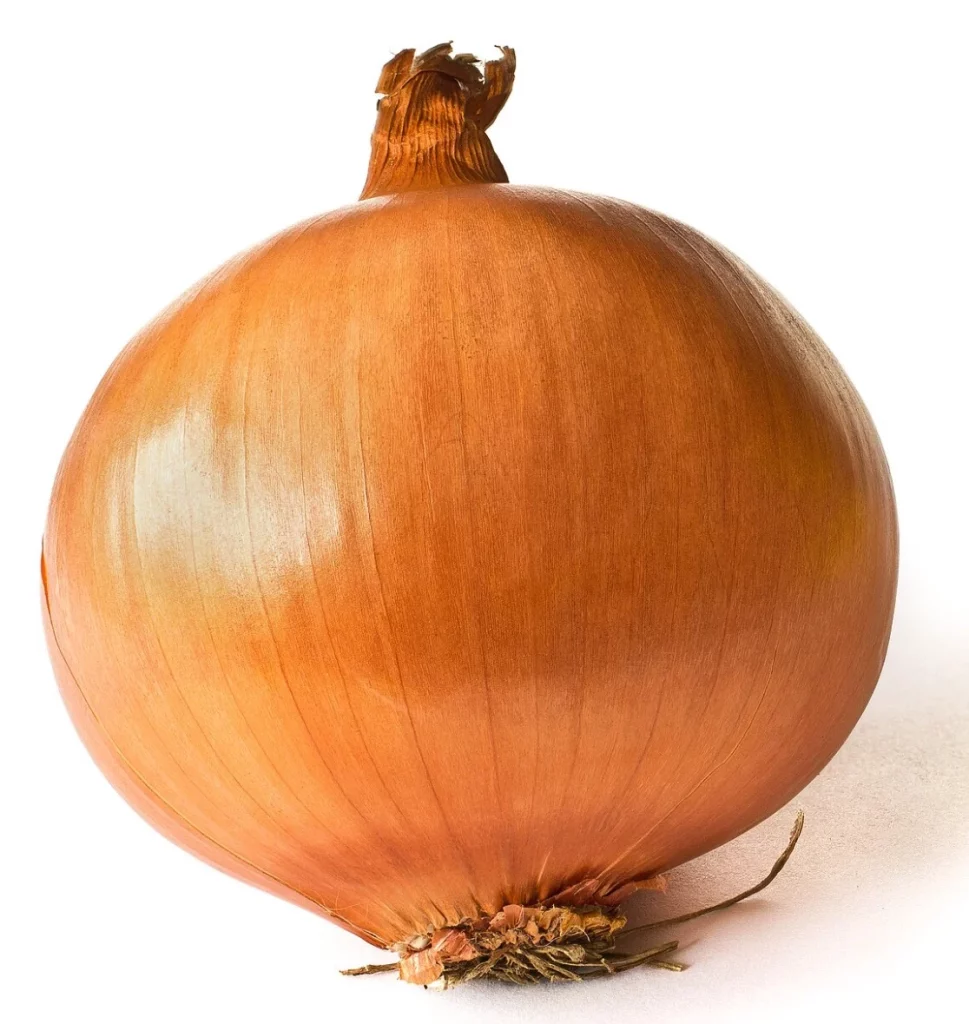 onion