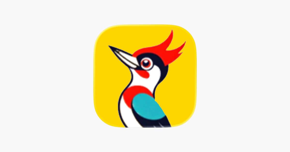 英文詞彙拼字遊戲　原價 US $4.99《Wordy Word Picker》限時免費