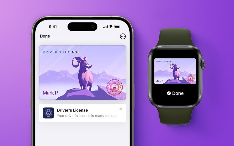 apple wallet drivers license feature iPhone 15 pro purple 1