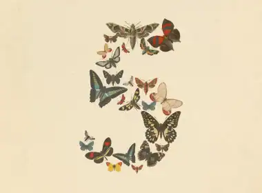 Fable5