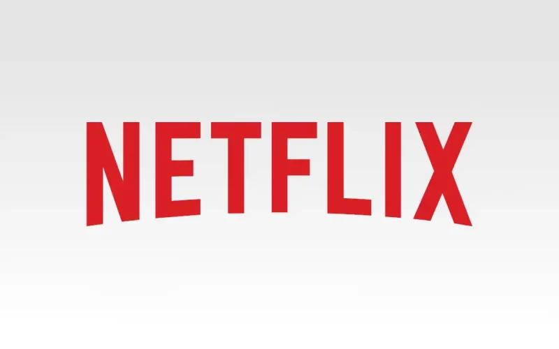 Netflix Story