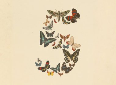 claude fable 5