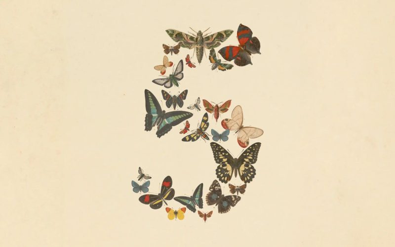 claude fable 5